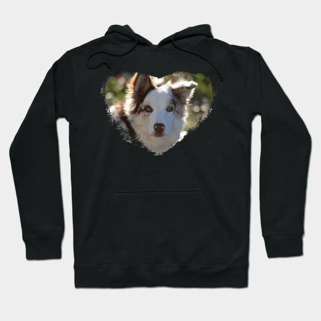 Love Border Collies Hoodie by Whisperingpeaks